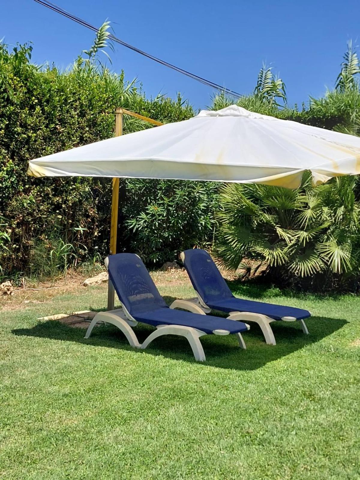 Modular King Suite - Intera Suite Vicino Aeroporto E Fiera Di Roma Фьюмичино Экстерьер фото